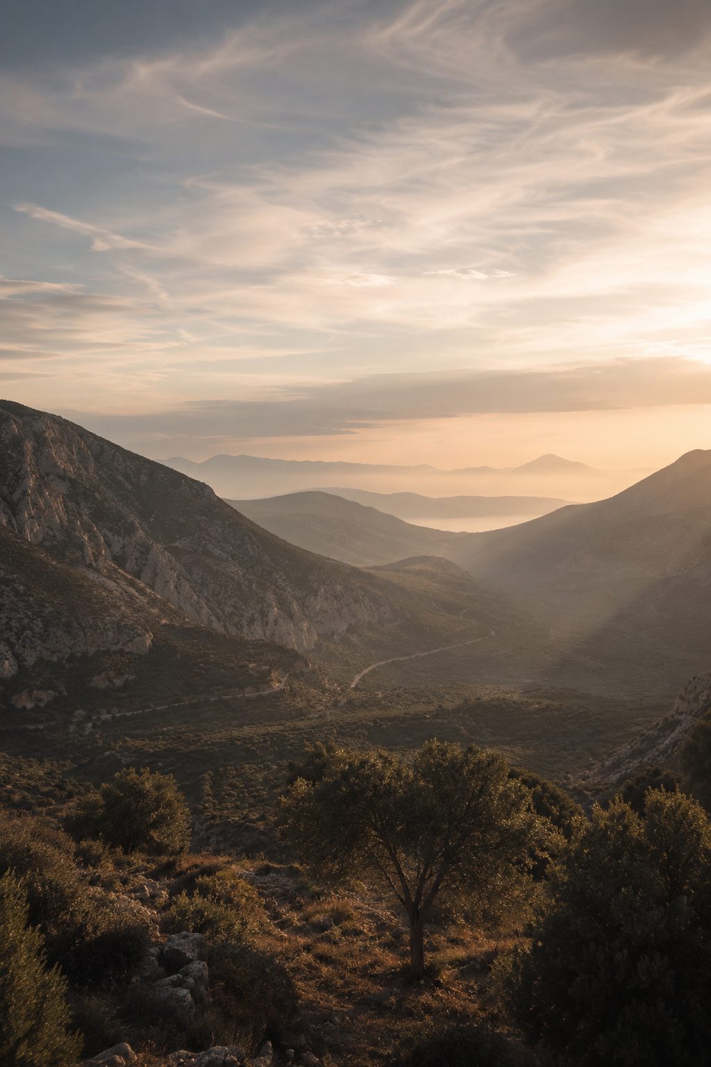 A valley below Mount Parnassus at dusk, an olive tree in the foreground and ridges receding into haze